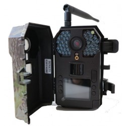 Fotopast Bunaty Full HD GSM