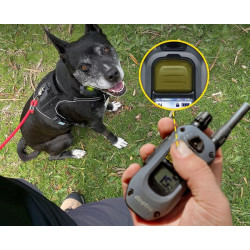 Elektronický výcvikový obojek Dogtra 640X