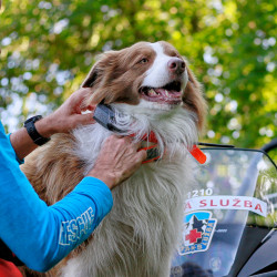 Vyhledávací zařízení pro psy Dogtrace DOG GPS X30