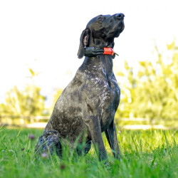 Vyhledávací zařízení pro psy Dogtrace DOG GPS X30 Short