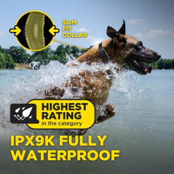 Elektronický výcvikový obojek DOGTRA ARC-X